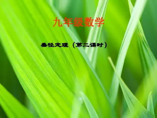 垂径定理2