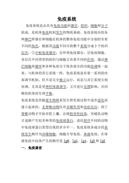 人体免疫系统详解