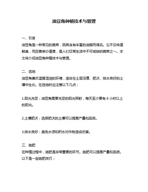 油豆角种植技术与管理
