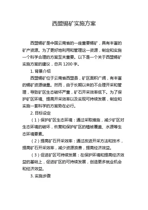 西盟锡矿实施方案