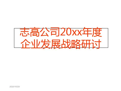 志高公企业发展战略研讨66809.ppt