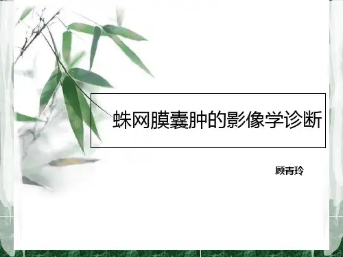 蛛网膜囊肿2ppt课件