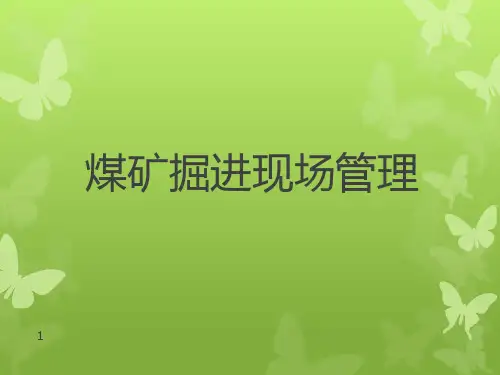 煤矿掘进现场管理 PPT课件