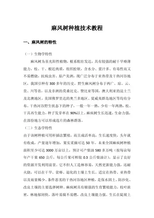 小油桐(麻风树)种植技术教程