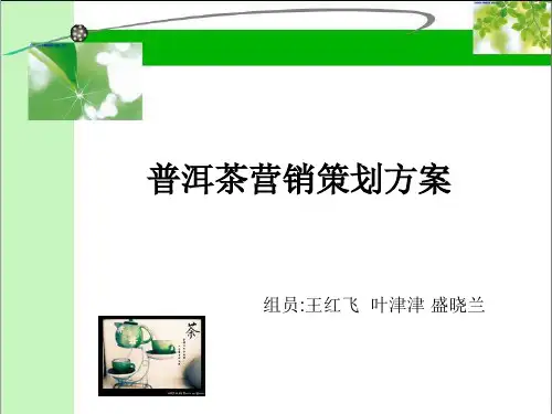 普洱茶营销策划方案解析PPT(16张)