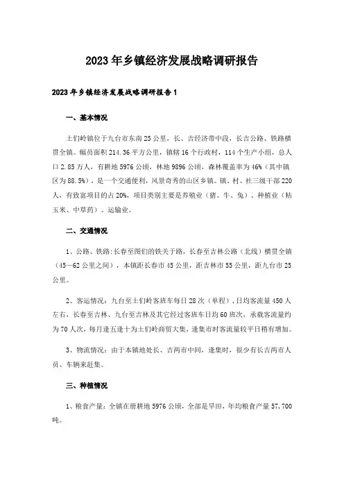 2023年乡镇经济发展战略调研报告
