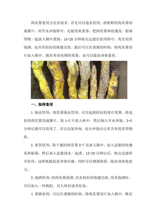 肉苁蓉如何食用,怎么吃才好