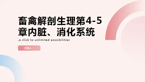 畜禽解剖生理第4 5章内脏,消化系统