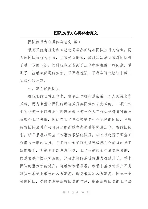 团队执行力心得体会范文