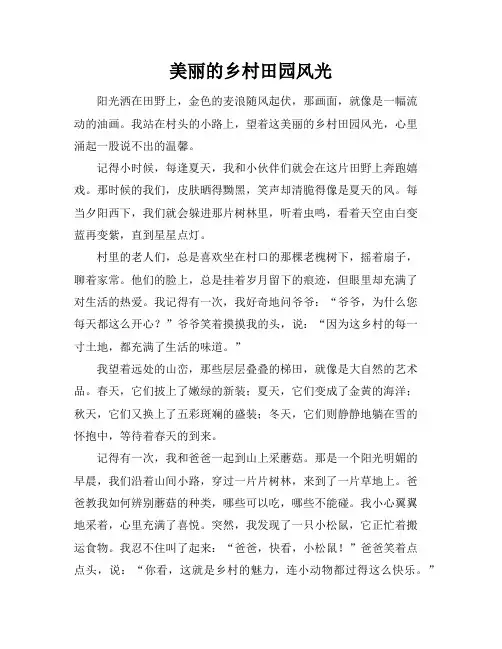 美丽的乡村田园风光