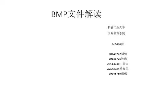 BMP文件解读
