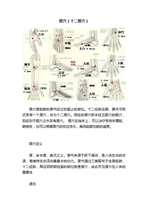 原穴（十二原穴）