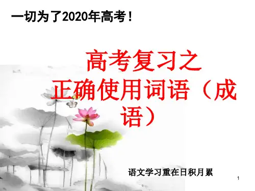2020年高考复习之正确使用词语(成语)ppt课件