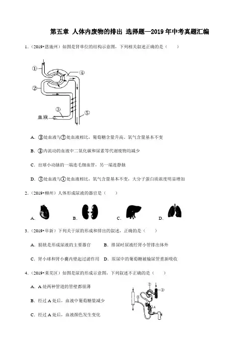 人教版生物七年级下册第五章 人体内废物的排出 选择题—2019年中考真题汇编(含答案)