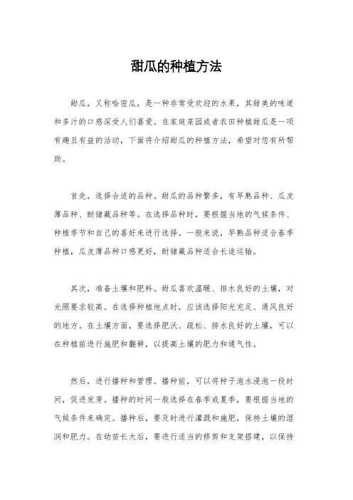 甜瓜的种植方法