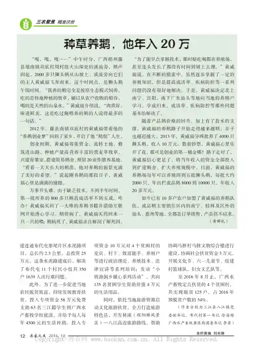 种草养鹅，他年入20万