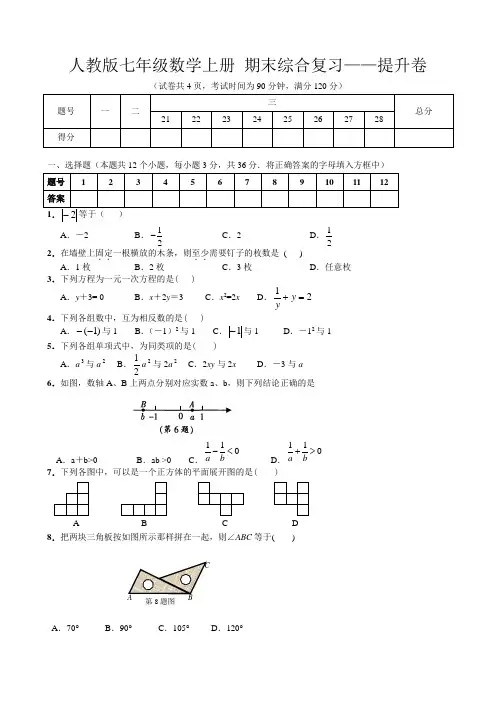 人教版七年级数学上册 期末综合复习——提升卷(含答案)