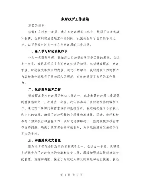 乡财政所工作总结