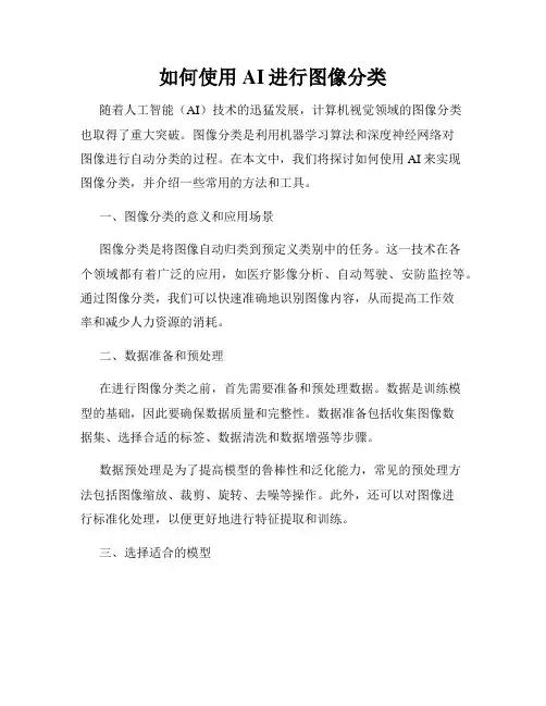 如何使用AI进行图像分类
