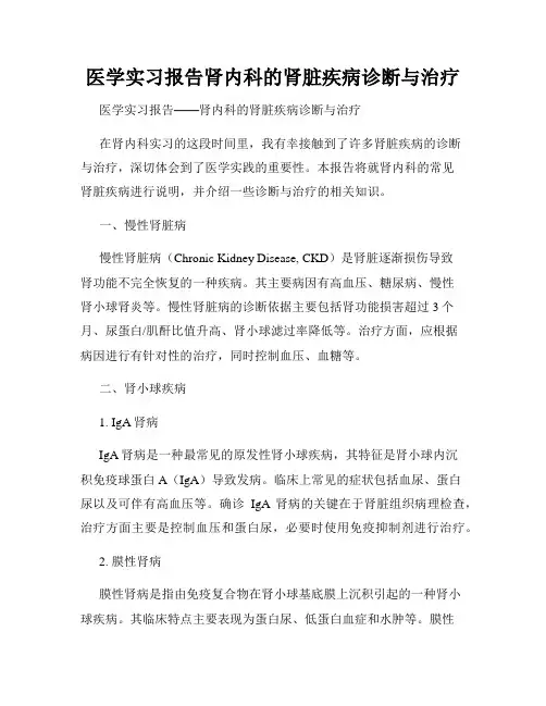 医学实习报告肾内科的肾脏疾病诊断与治疗