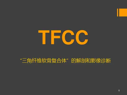 TFCC损伤(骨关节会议讲课用PPT)-优秀医学PPT课件