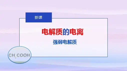 沪科版化学高一下册-7.1.3   强弱电解质 课件  教学课件