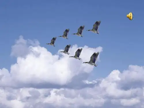 物质的溶解性