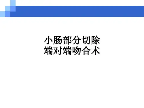 小肠部分切除端对端吻合术ppt课件
