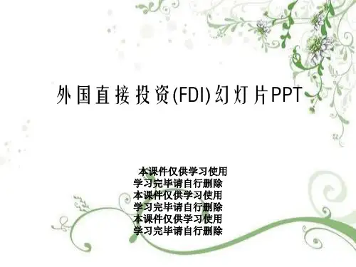 外国直接投资(FDI)幻灯片PPT