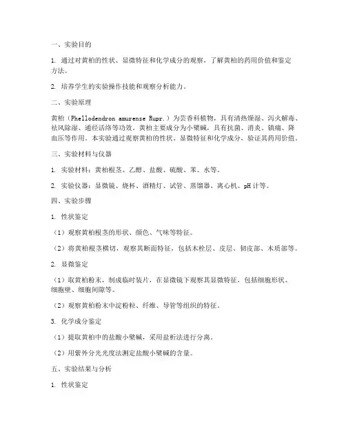 观察黄柏的实验报告