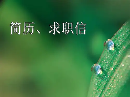 《简历、求职信》ppt课件共117页