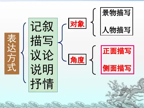 正面描写和侧面描写ppt课件