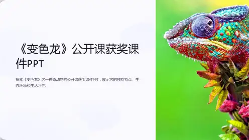 《变色龙》公开课获奖课件