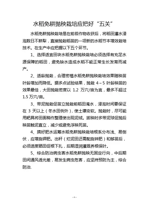 水稻免耕抛秧栽培应把好“五关”