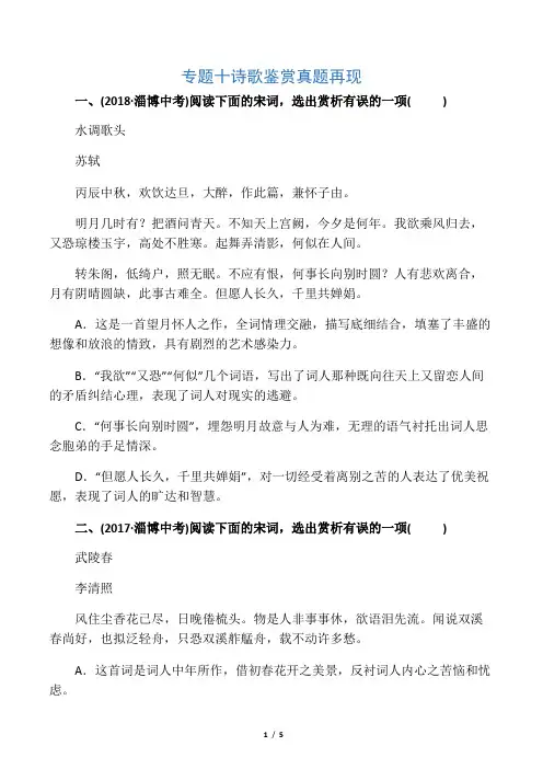 2019最新届中考语文 专题十 诗歌鉴赏真题再现(含解析)(考试专用)