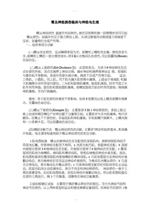 臂丛神经损伤临床与神经电生理