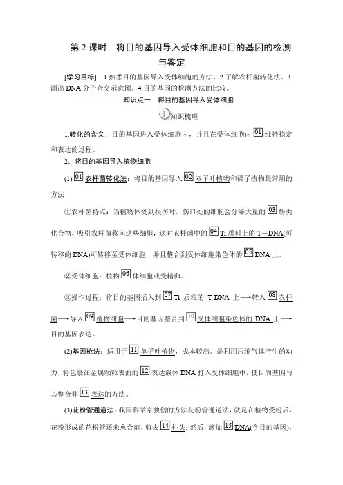 高中生物《将目的基因导入受体细胞和目的基因的检测与鉴定》导学案+课后练习题