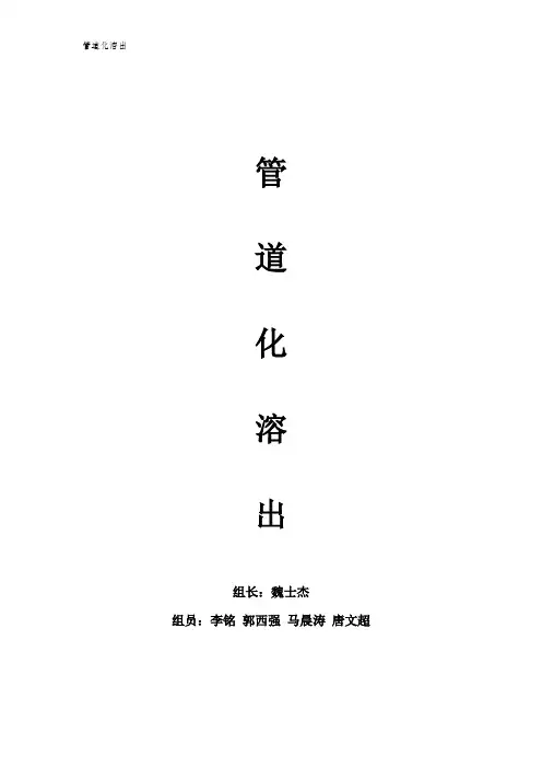 管道化溶出.终极版