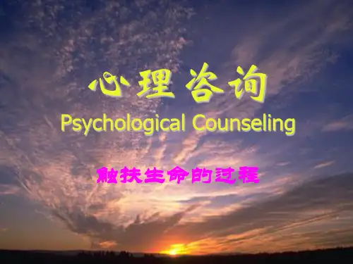 第一讲 心理咨询概述