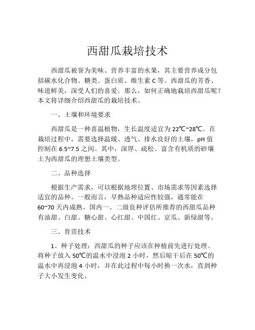西甜瓜栽培技术