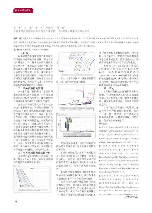 基于软件的气井井筒流动参数模拟分析