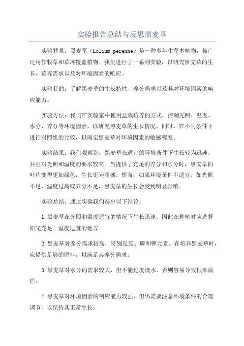 实验报告总结与反思黑麦草