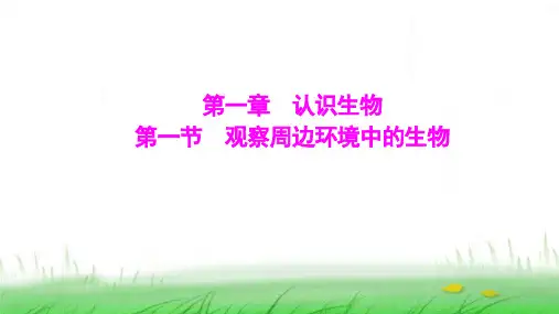 人教版七年级生物上册第一单元第一章第一节观察周边环境中的生物课件