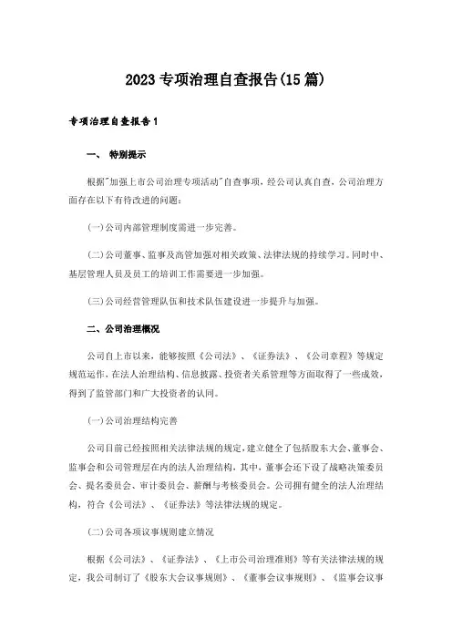 2023专项治理自查报告(15篇)