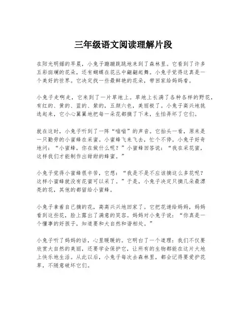 三年级语文阅读理解片段