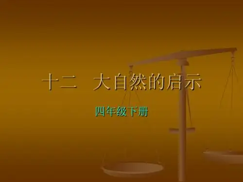 十二   大自然的启示课件