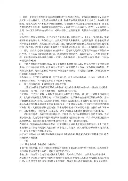 神经解剖学重点