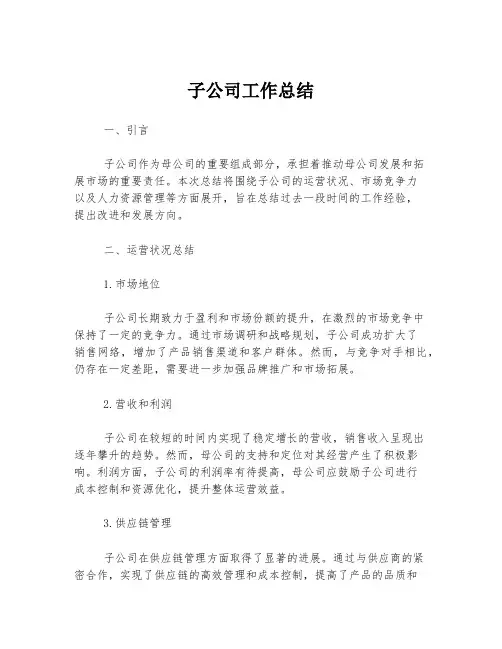 子公司工作总结