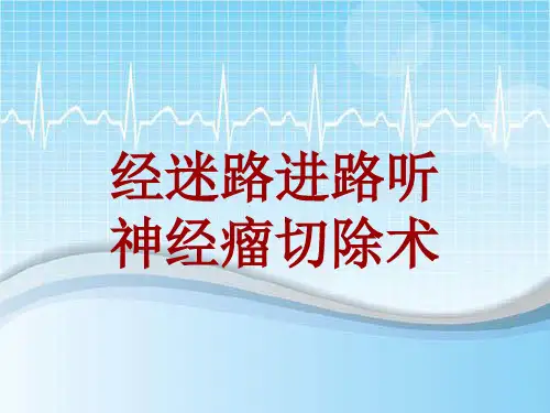 外科手术教学资料：经迷路进路听神经瘤切除术讲解模板