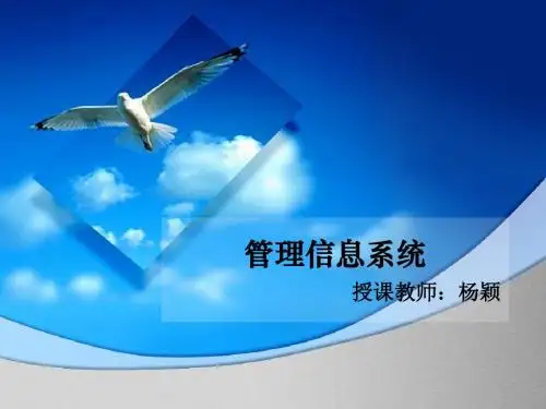 管理信息系统05